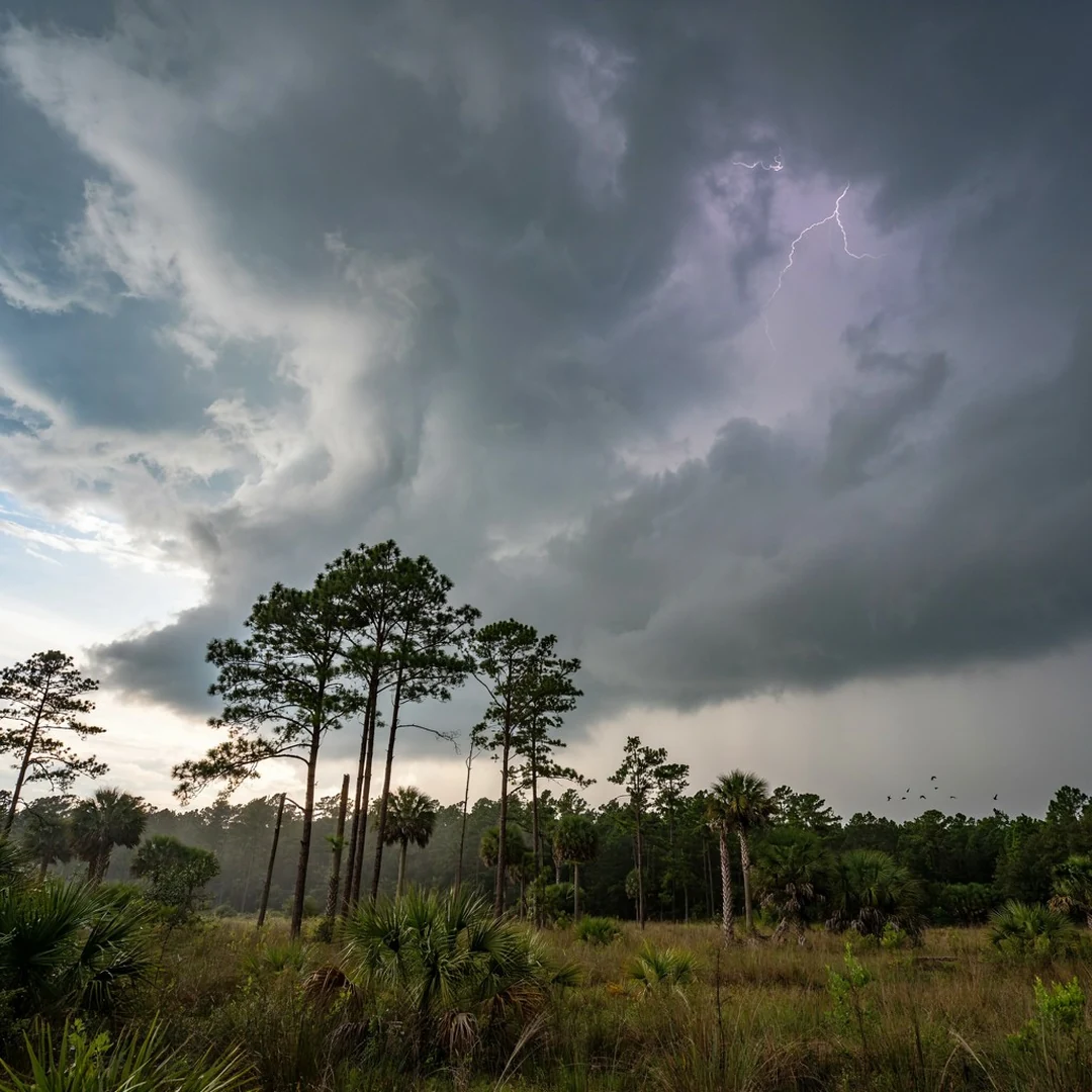 June to November: every afternoon storm is a test.