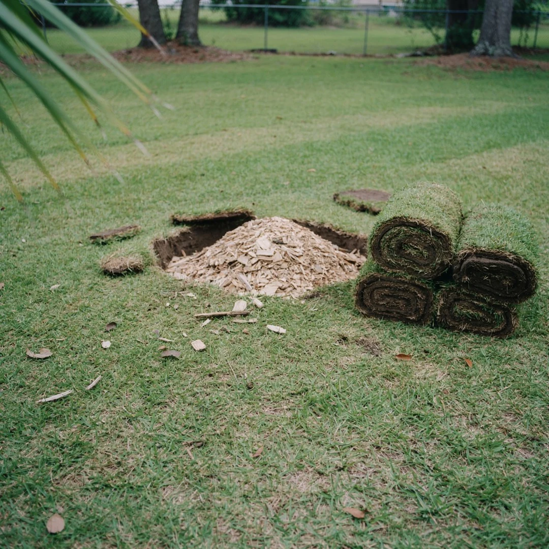Below grade, so you can sod right over it.